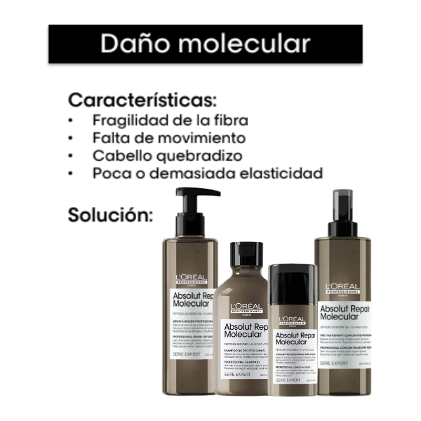 Kit Loreal Absolut Repair Molecular Serie Expert